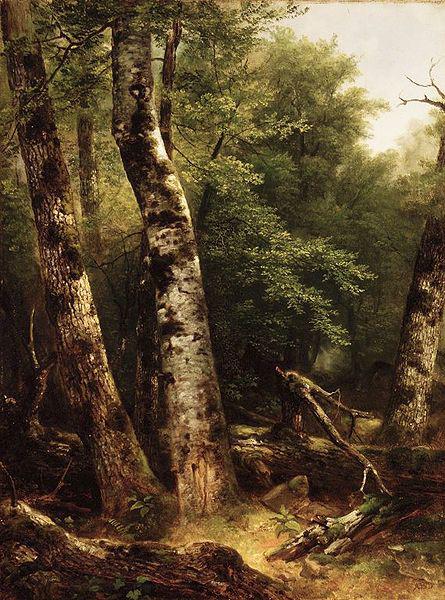 Asher Brown Durand Landscape (Birch and Oaks) Norge oil painting art